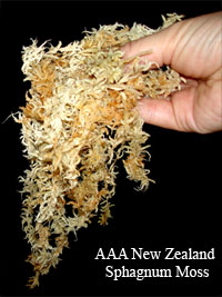 Sphagnum moss 200 gr 